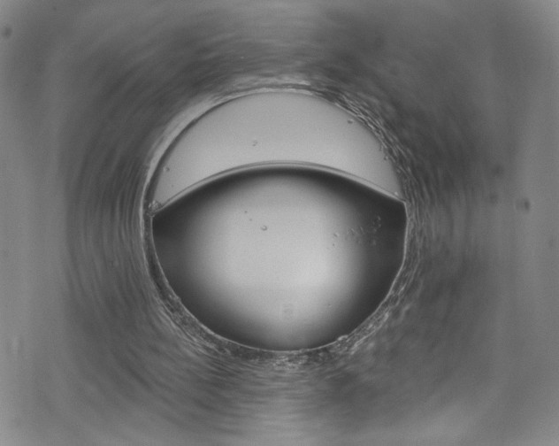 X0000073420148200607280944