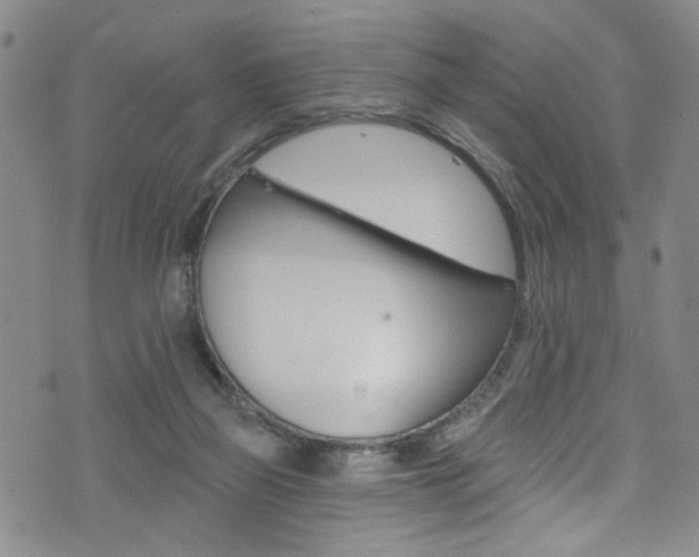 X0000073420165200607280944