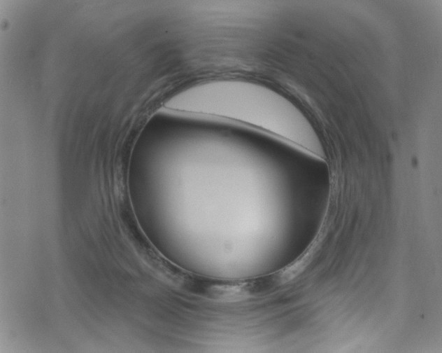 X0000073420170200607280944