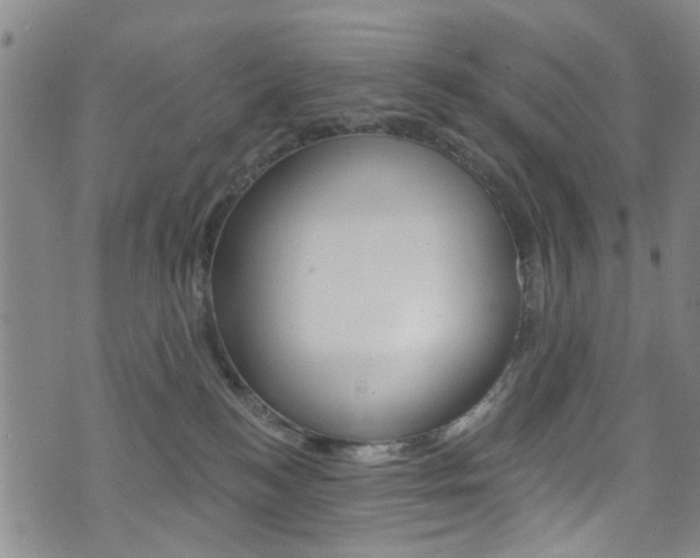 X0000073420184200607280944