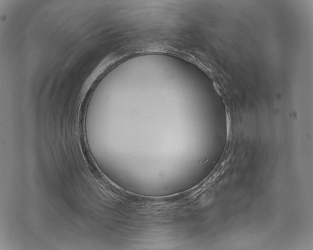 X0000073420195200607280943