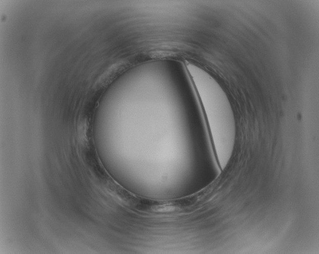 X0000073420219200607280943