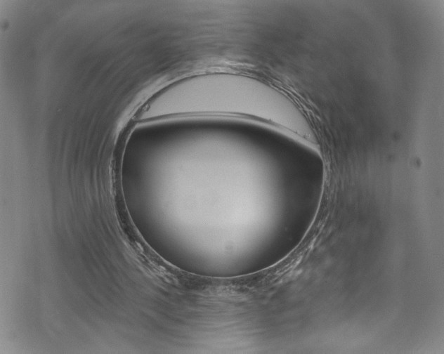 X0000073420244200607280942