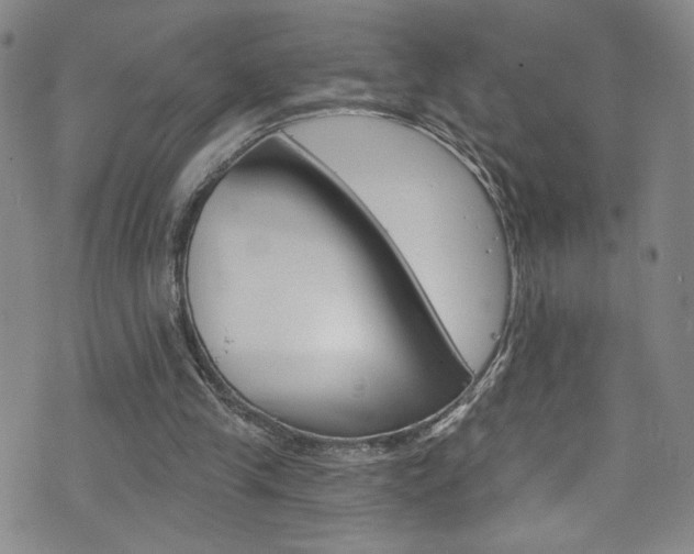 X0000073420245200607280942