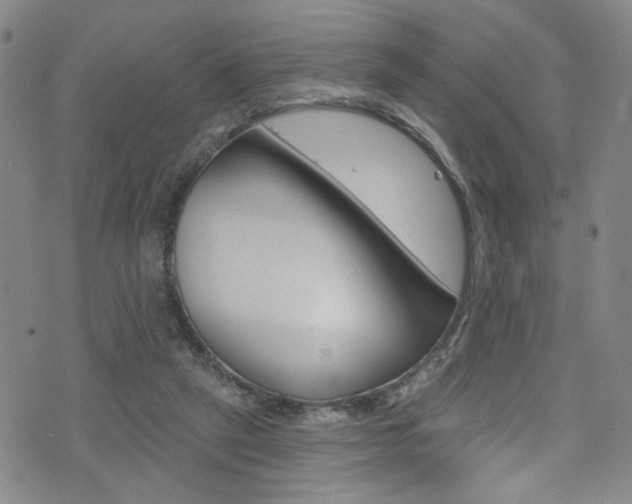 X0000073420257200607280942