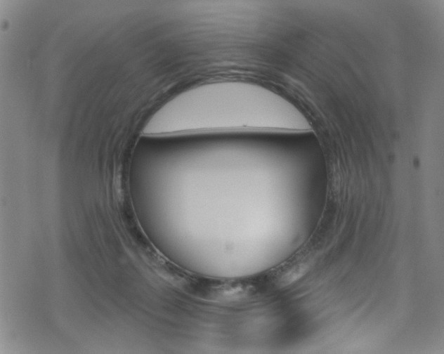 X0000073420267200607280942