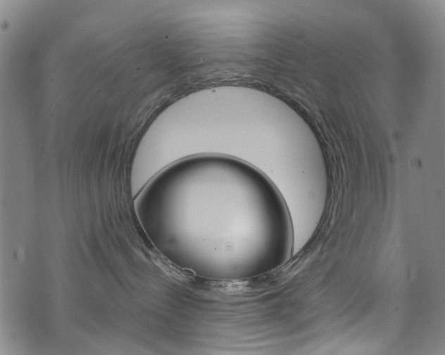 X0000073420288200607280943
