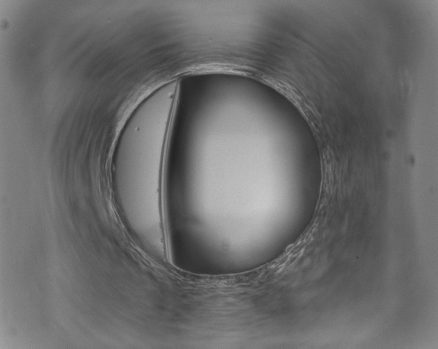 X0000073420289200607280942