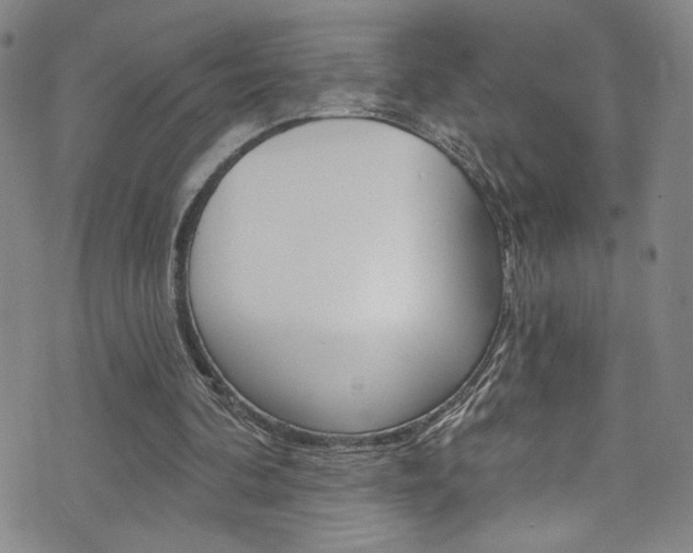 X0000073420292200607280942
