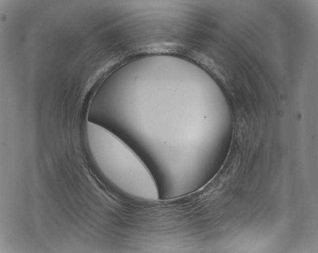 X0000073420299200607280942
