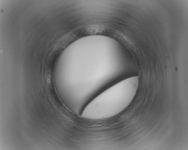 X0000073420315200607280941