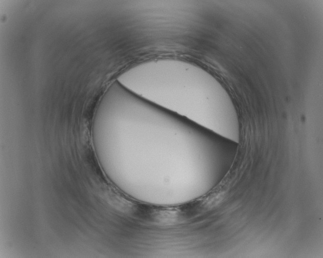 X0000073420318200607280941