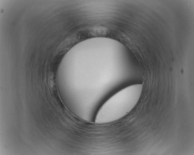 X0000073420323200607280941