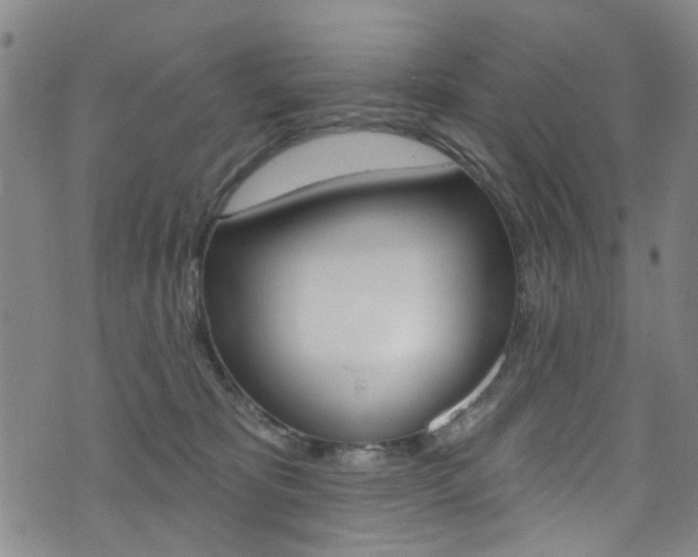 X0000073420325200607280941