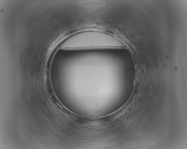 X0000073420344200607280940