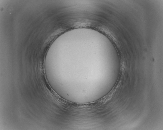 X0000073420353200607280941