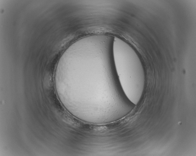 X0000073420355200607280941