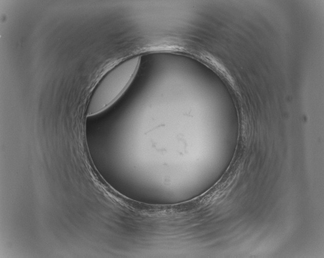 X0000073420385200607280940