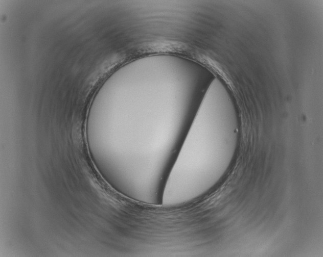 X0000073420394200607280940