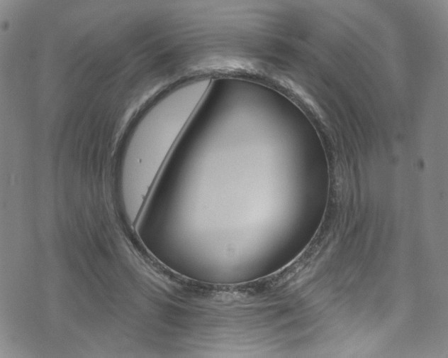 X0000073420399200607280940