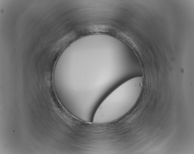 X0000073420402200607280940
