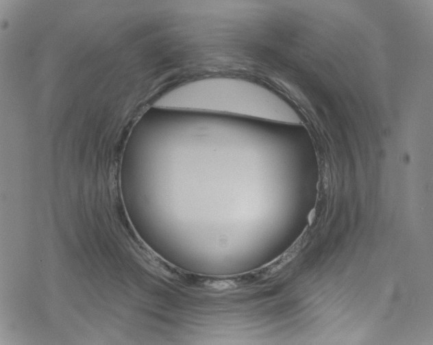 X0000073420409200607280940