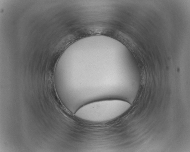 X0000073420414200607280940