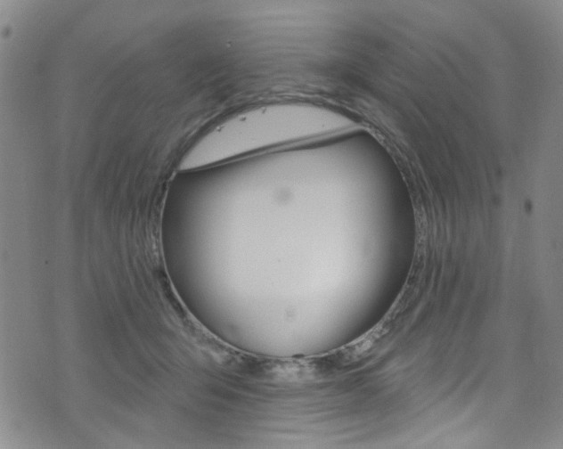 X0000073420415200607280940