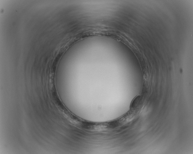 X0000073420462200607280939