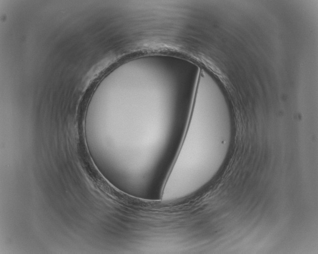 X0000073420488200607280939