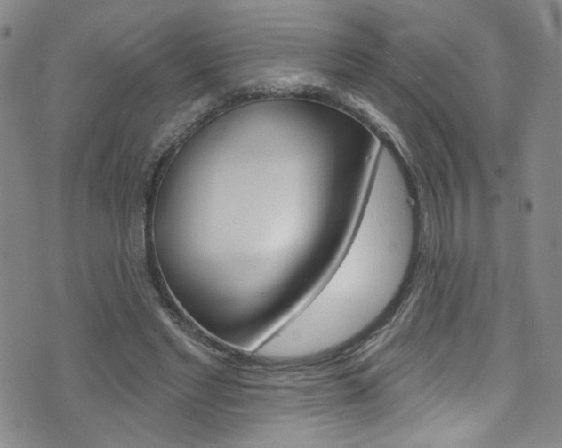 X0000073420493200607280939