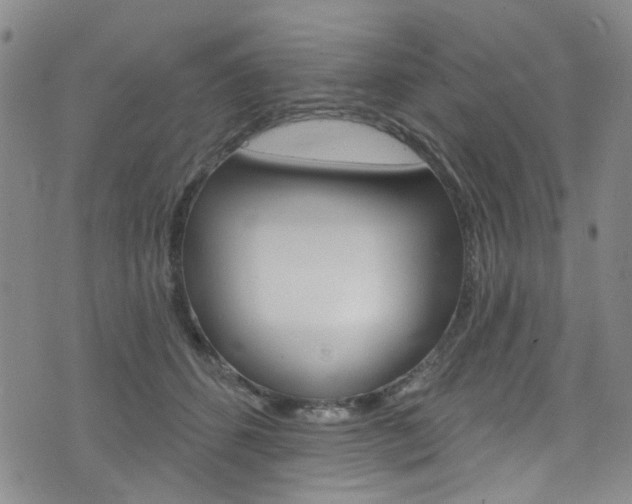 X0000073420512200607280938