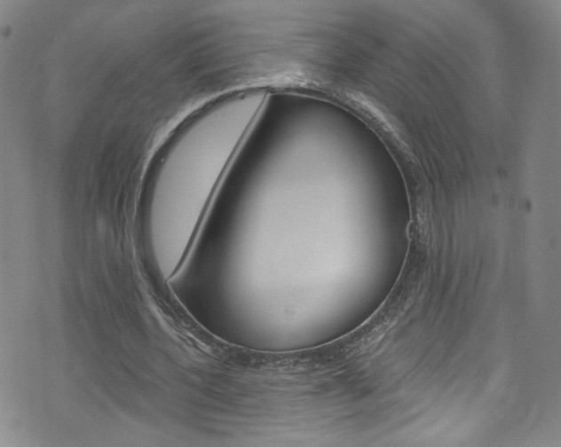 X0000073420532200607280937