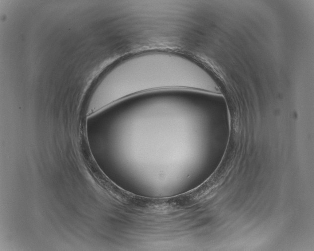 X0000073420540200607280937