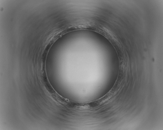 X0000073420548200607280938