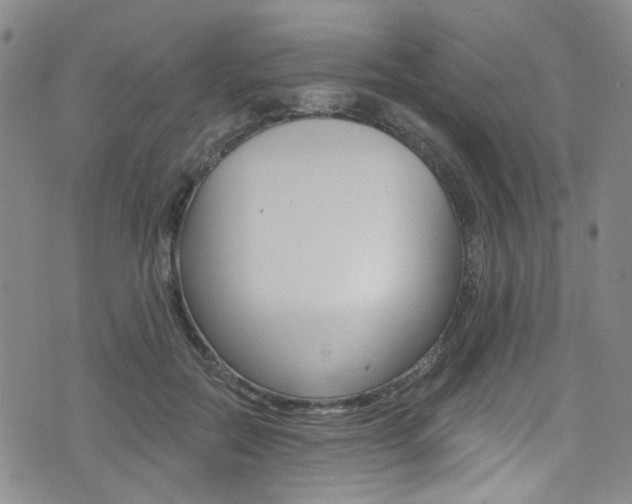 X0000073420554200607280938