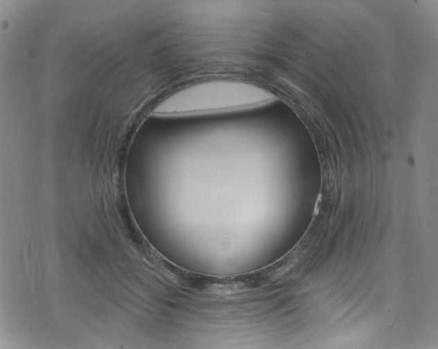 X0000073420556200607280938