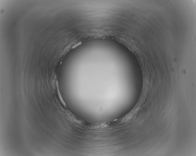 X0000073420576200607280938