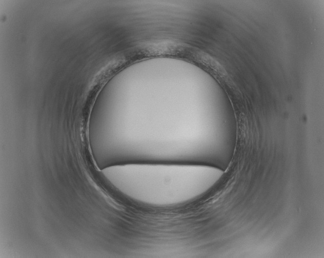 X0000073420590200607280937