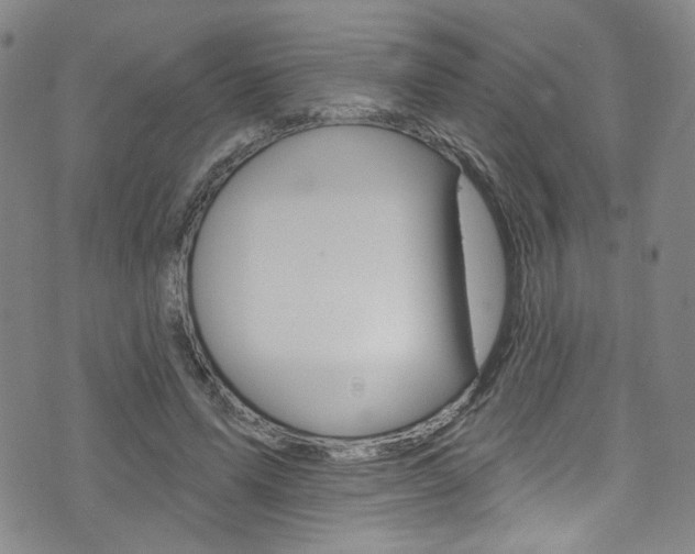 X0000073420591200607280937