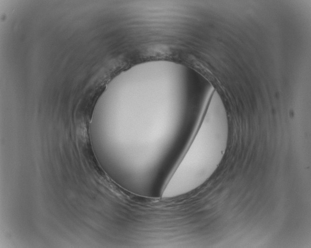 X0000073420617200607280937