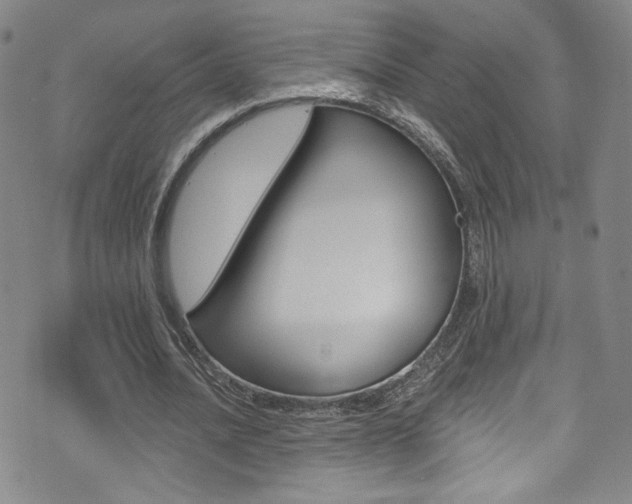 X0000073420628200607280936