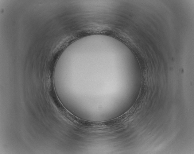 X0000073420642200607280936