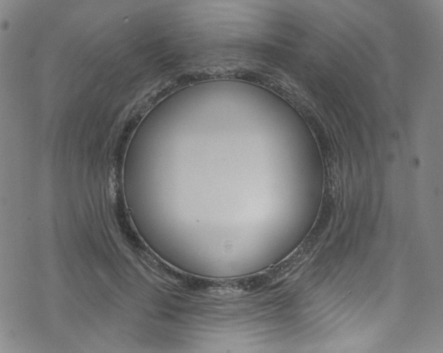 X0000073420644200607280936