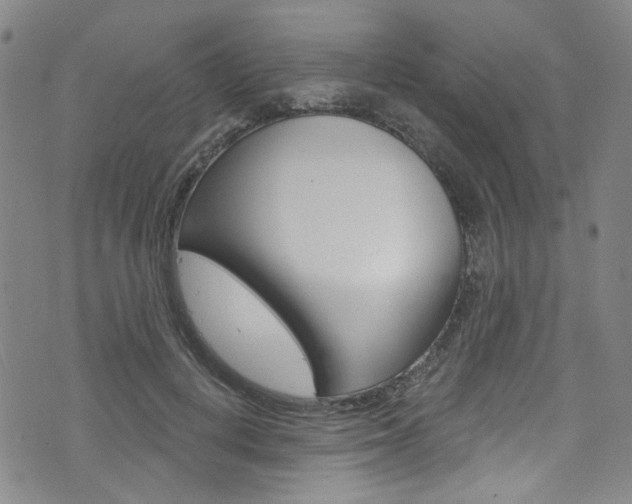 X0000073420648200607280936
