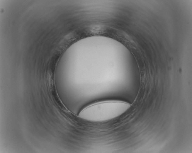 X0000073420651200607280936