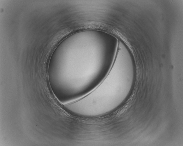 X0000073420673200607280936