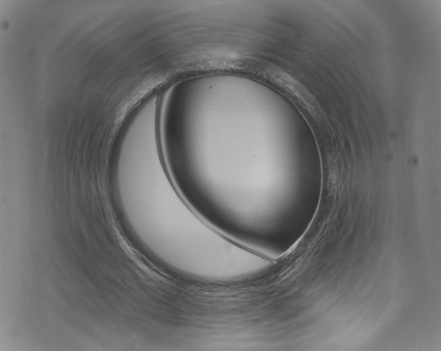 X0000073420677200607280936
