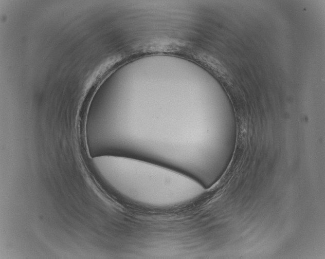 X0000073420678200607280936