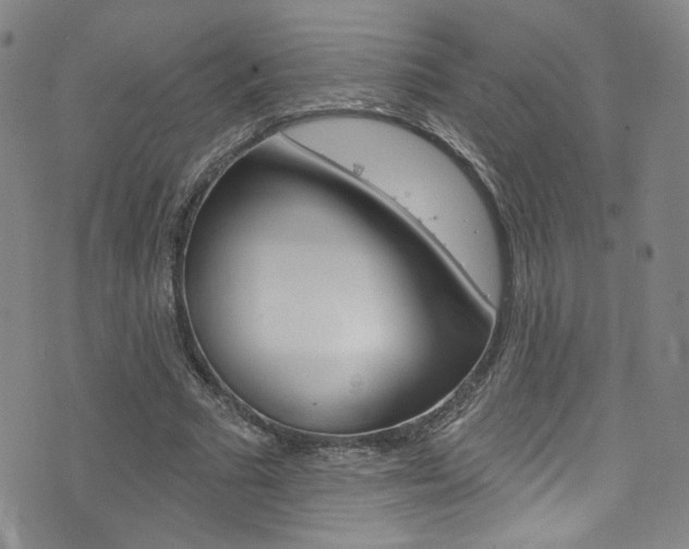 X0000073420681200607280936